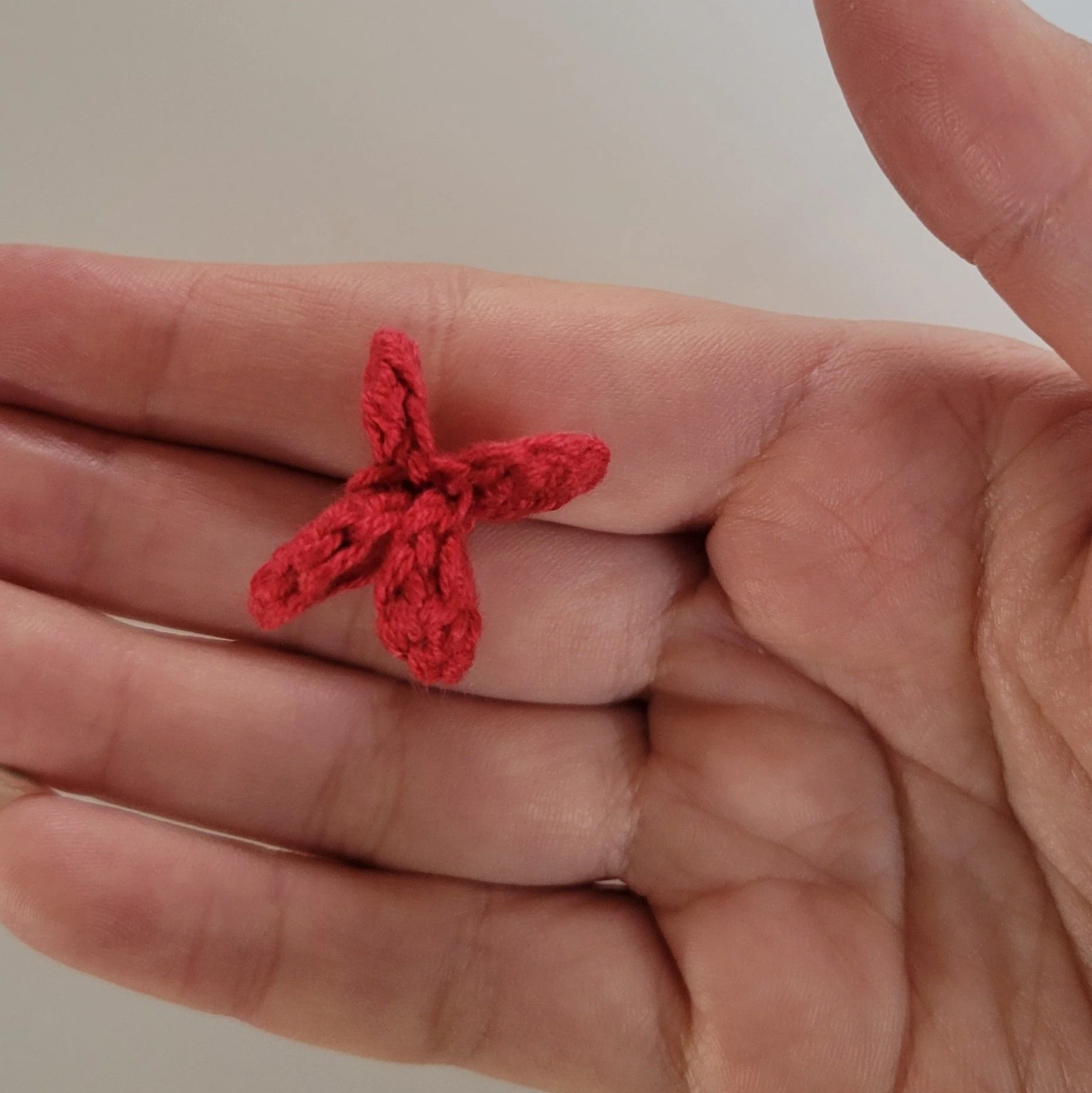 Heartwins - Earrings - Image 4